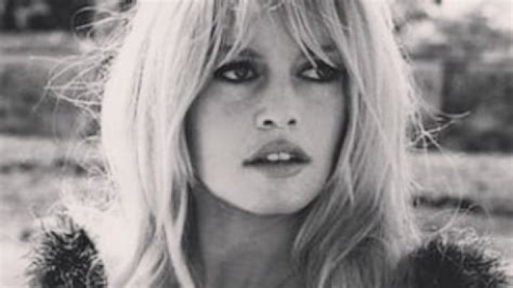 Unveiling The Life And Legacy Of Brigitte Bardot's Son: A Journey Of Discovery