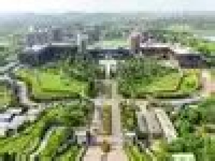 Discover The Secrets Behind "Craig McRae Wife Age": Unraveling The Mystery