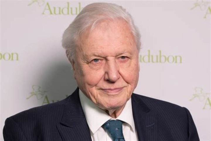 Unveiling The Natural Treasures Of David Attenborough's Net Worth