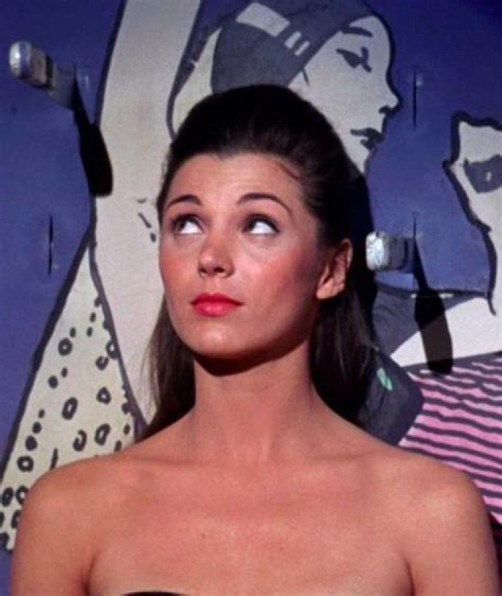 Discover The Secrets Of Donna Baccala: A Culinary Journey