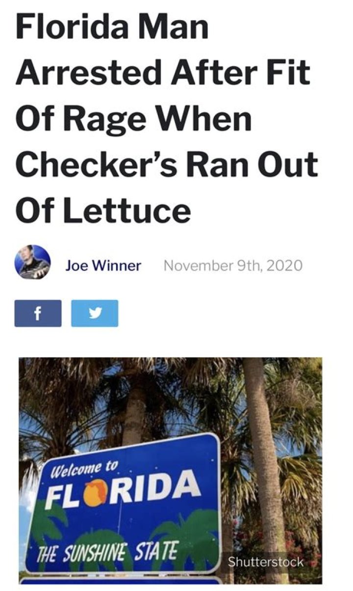 Unveiling The Curious Case Of "Florida Man November 10": Discoveries And Revelations