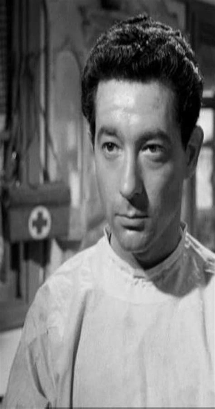 A Journey Of Humor And Insight