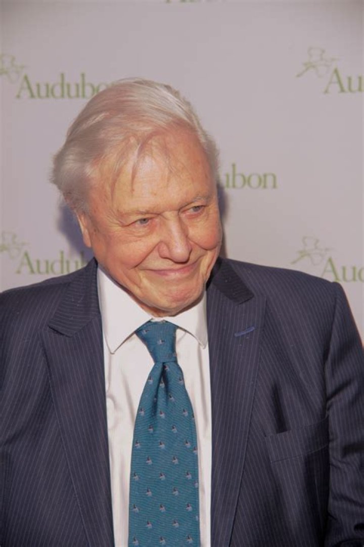Unveiling The Wealth And Impact Of Sir David Attenborough