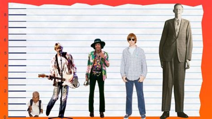 Exploring The Significance Of Kurt Cobain's Height