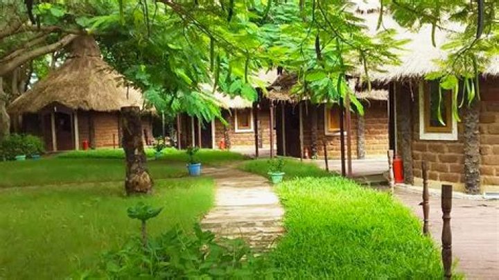 Discover Untamed Africa At Mandinari River Lodge