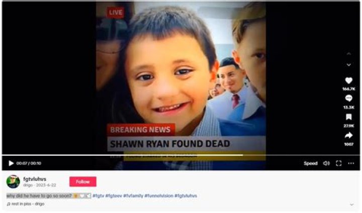 Uncovering The Truth Behind The "Shawn From FGTEEV Dead" Hoax: Exclusive Insights