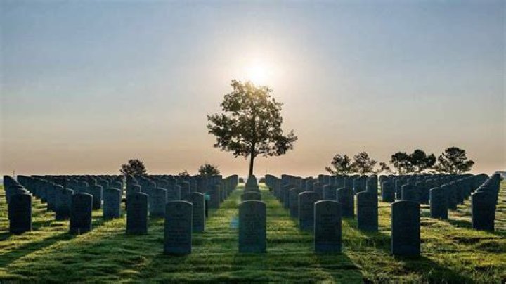 Uncover The Enchanting World Of Terri Facci Globe Park