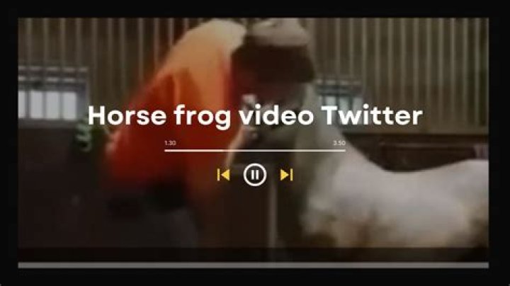 Unveil The Horse Video Twitter Phenomenon: Insights, Trends, And Surprises