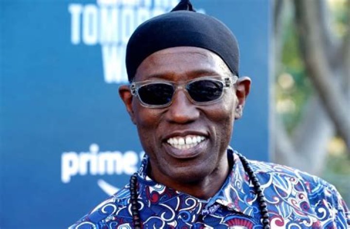 Wesley Snipes' Triumph Over Adversity: Uncovering Resilience And Triumph